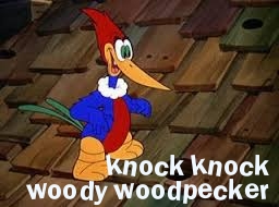 woody woodpecker knock lesson november history 1940 his walter daily raylemire