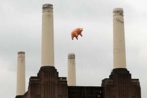 Pink-Floyd-pig