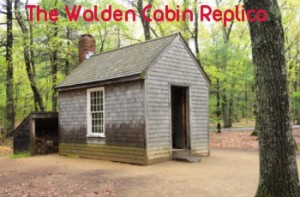 walden-pond-replica